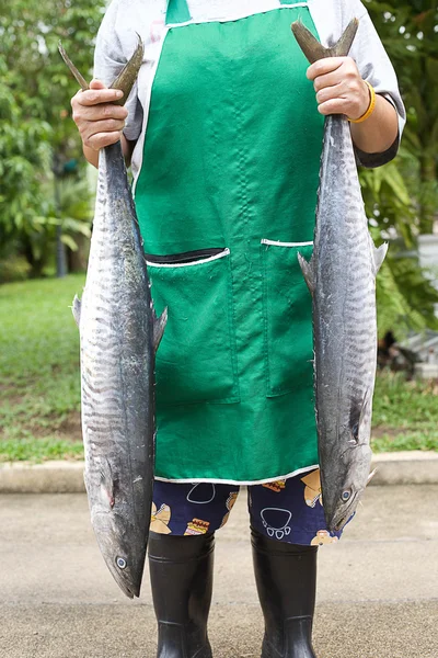Hand holding Fresh king mackerel fish — Stock Photo, Image