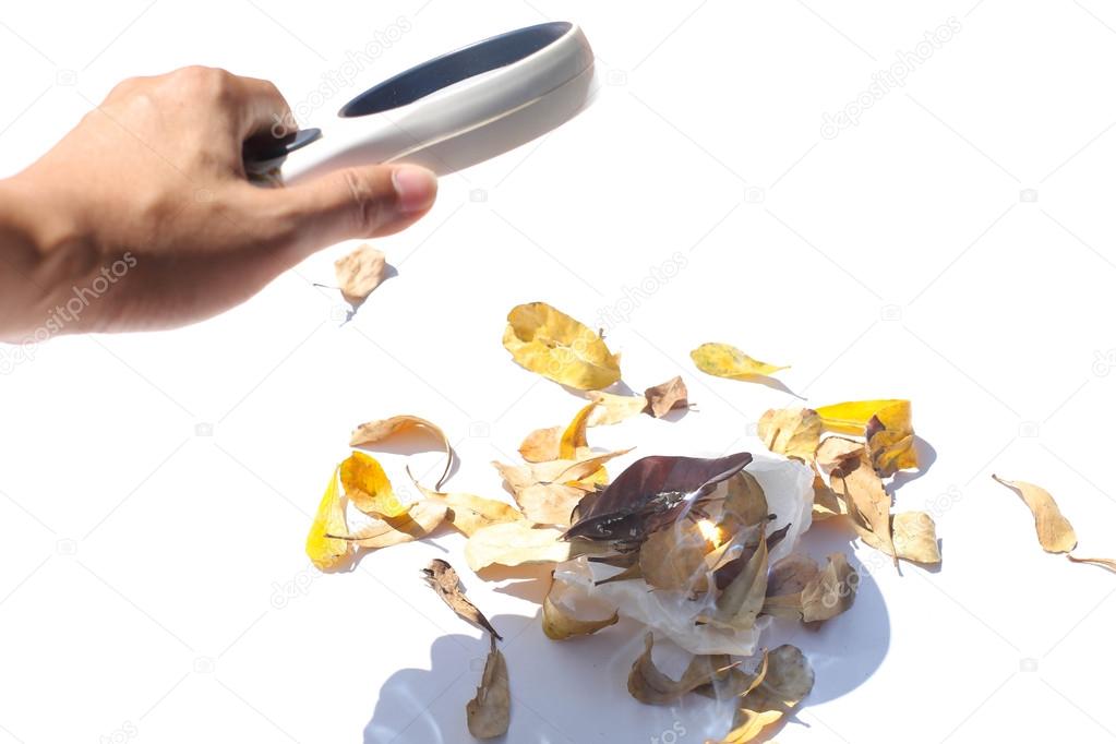 Magnifying glass make burning dry leaf