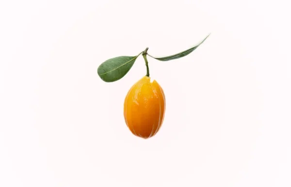 Marian plum thai fruit isolated — Stock Photo, Image