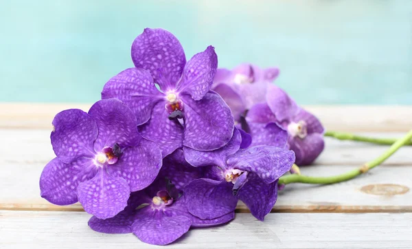 Orquídea roxa no fundo de madeira — Fotografia de Stock