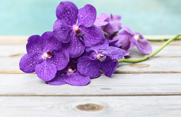 Orquídea roxa no fundo de madeira — Fotografia de Stock