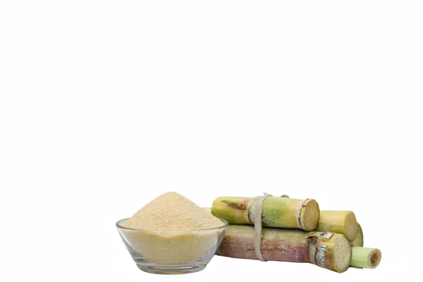 Brown Sugar in bowl and stump of sugar cane — Stock Photo, Image