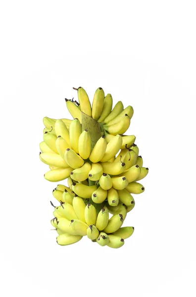 잘 익은 바나나 격리 된 무리 — 스톡 사진