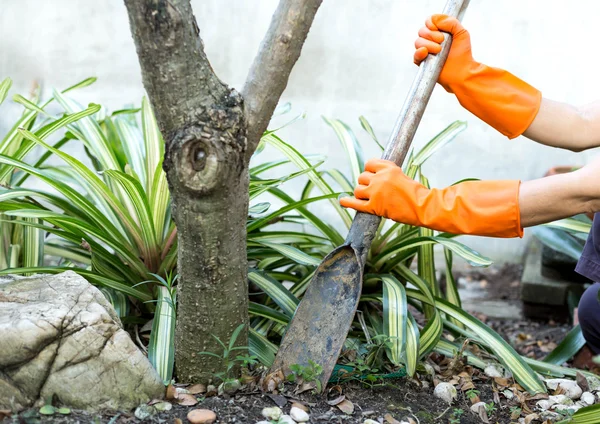 Mujer haciendo un uso de jardinería Pala — Foto de Stock