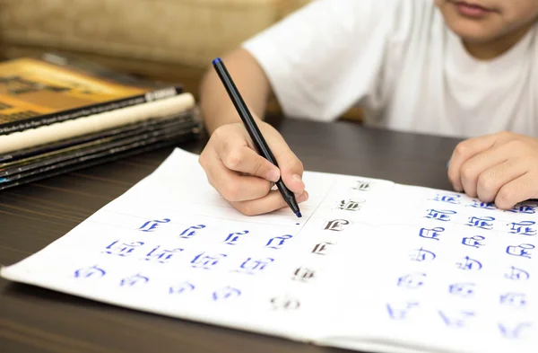 Niño de la escuela haciendo trabajo en casa escritura a mano responde a un ejercicio —  Fotos de Stock