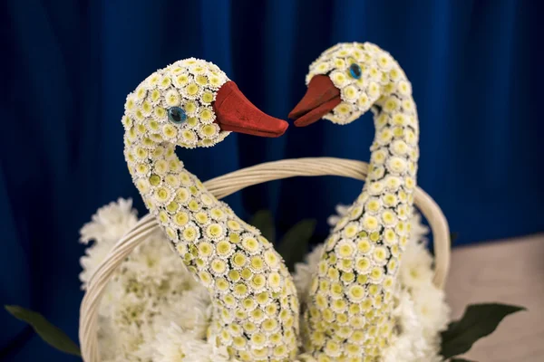 Detalhes do casamento um ganso em um fundo azul — Fotografia de Stock