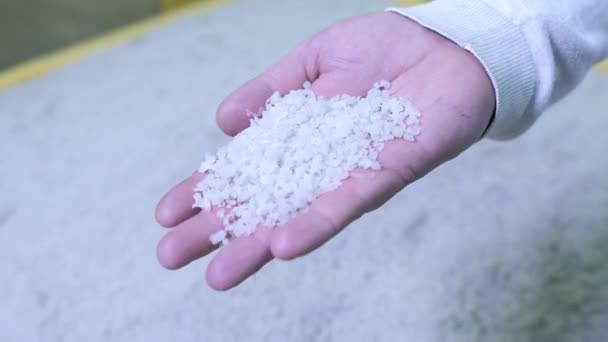 Granuli di plastica riciclata. — Video Stock