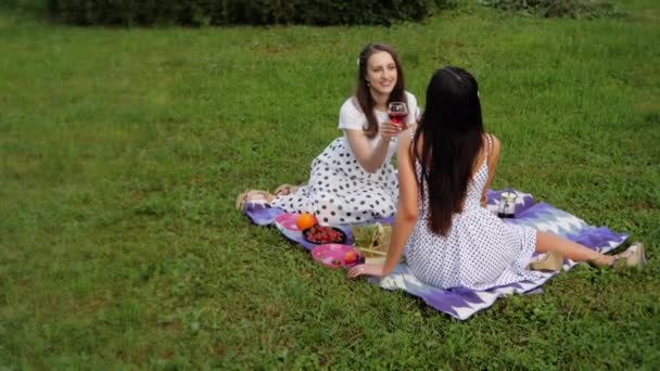 二人の魅力的な女の子は緑の芝生の上に座っている間カクテルを飲んでいる — ストック動画