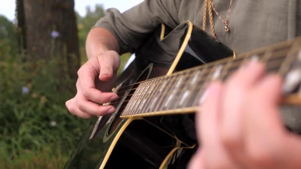 Крупним планом жіночі руки грають на гітарі. На відкритому повітрі влітку . — стокове відео
