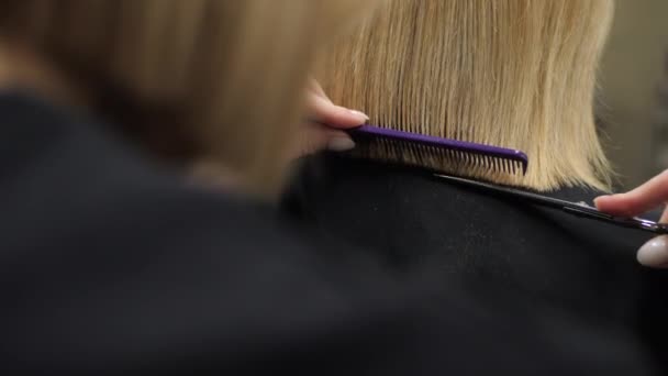 Стрижка волос в парикмахерской. — стоковое видео