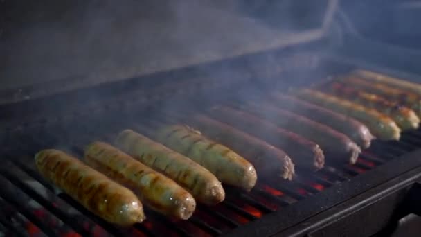 Sada Grilovaných Klobás Vaření Připravuje Klobásy Různých Druhů Masa Grilu — Stock video