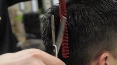 Yakından ilgilenen erkek kuaför erkek müşterinin saçını makasla kesiyor. Berber berber dükkanında saç kesimi yapıyor..