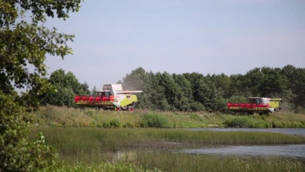 농부들은 강둑을 수확하러 갑니다 차례로 일어납니다 러시아의 모스크바 2020 — 비디오