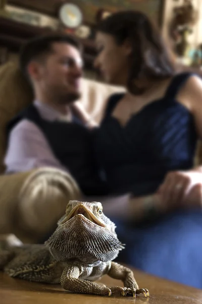 Mascota posando con dueños afectuosos —  Fotos de Stock