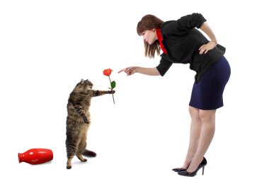kadın azarı kedi