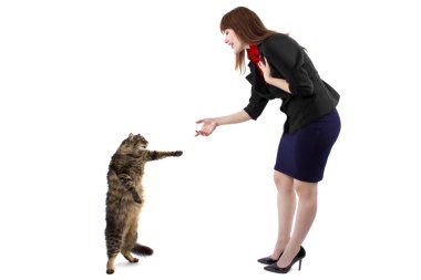 kedi performans gösteren numara