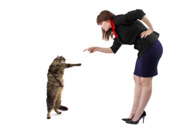 kedi performans gösteren numara