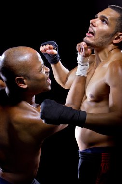 Fikir tartışması mma savaşçıları