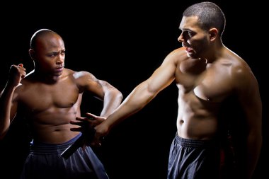 Dövüş sanatları silah suçluyla sevdiren