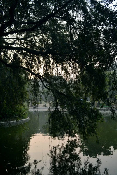 Uma Bela Lagoa Água Verde Cercada Por Árvores Com Seu — Fotografia de Stock