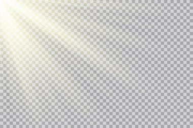 Vektör şeffaf güneş ışığı özel lens flaş efekti. Ön güneş merceği flaşı. Işığın ışığında vektör bulanıklığı.