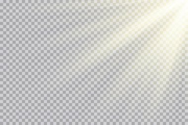 Vektör şeffaf güneş ışığı özel lens flaş efekti. Ön güneş merceği flaşı. Işığın ışığında vektör bulanıklığı.