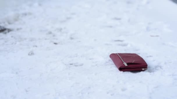 Primo piano, portafoglio si trova a terra nella neve, trovare e una sorpresa, scarpe neve sulla strada in inverno, perdita di portafoglio, distrazione non essere attenti. Perdere denaro portafoglio con documenti di carte di credito. — Video Stock