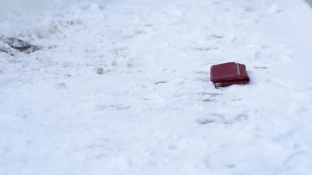 Detailní záběr, peněženka leží na zemi ve sněhu, najít a překvapit, boty sníh na ulici v zimě, ztráta peněženky, rozptýlení není pozorný. Prohrát peněženku s kreditními kartami dokumenty. — Stock video