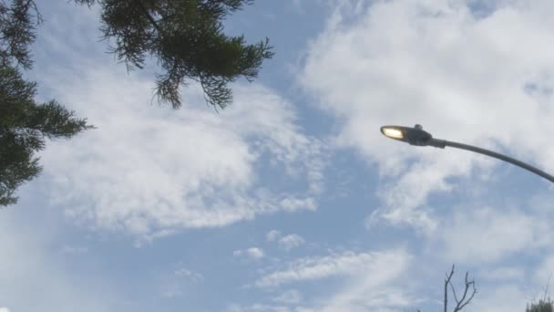 Işıklar Gün Işığında Yandı Elektrik Israfı — Stok video