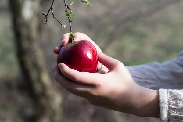 Rode appel in vrouwelijke hand — Stockfoto