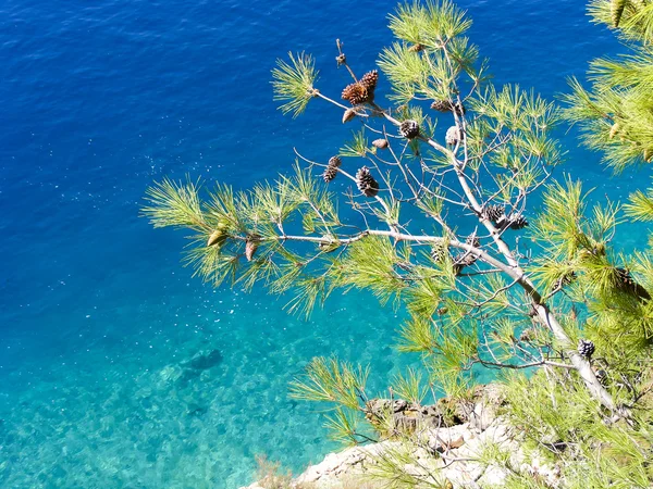 Adriyatik Denizi, Makarska Riviera, Hırvatistan — Stok fotoğraf