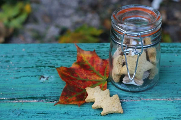 Autumn cookies in a retro glass jar — Stock Photo, Image