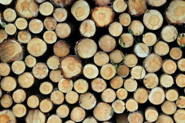 Mayo arka plan kesmek