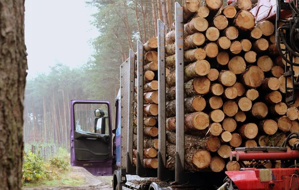 Timber Haulage — Stock Photo, Image