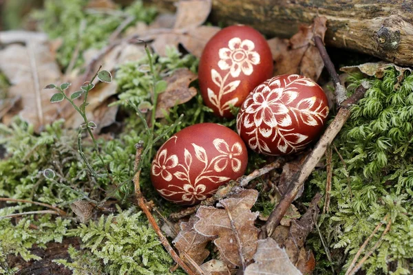 Tradiční velikonoční vajíčka — Stock fotografie