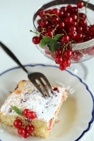 Cake with red currant — Stock Photo, Image