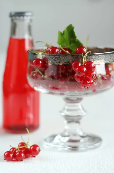 Red currant juice — Stock Photo, Image