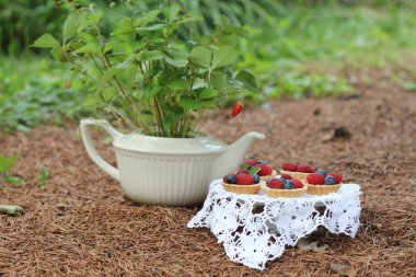 Öğleden sonra çay - çay ve vahşi orman meyve ile cupcakes