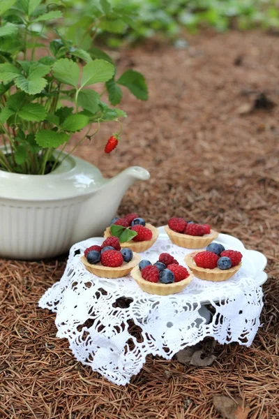 Öğleden sonra çay - çay ve vahşi orman meyve ile cupcakes — Stok fotoğraf