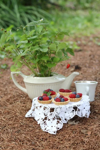 Odpolední čaj - čaj a koláčky s lesním ovocem — Stock fotografie