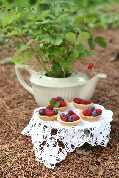 Té de la tarde - té y cupcakes con frutas silvestres del bosque — Foto de Stock