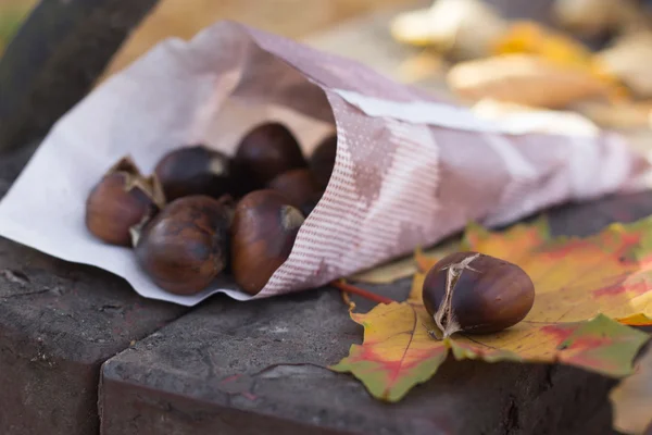 Podzimní pečené kaštany — Stock fotografie