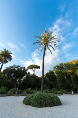 Prag Tv Kulesi, Çek Cumhuriyeti