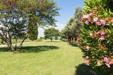 Hadrian's Villa, the Roman Emperor's 'Villa'