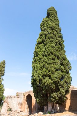 Hadrian'ın Villa, Roma İmparatoru'nın ' Villa