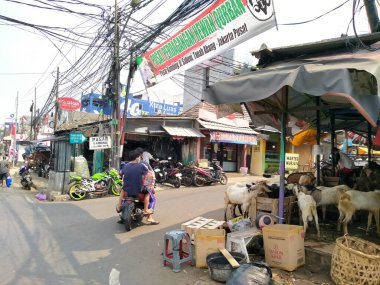 Pasar kambing, Tanah Abang, Jakarta, Endonezya - 29 Temmuz 2020: Keçi pazarına giren motorlu araçlar