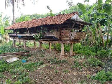 Tambun, Bekasi, Endonezya - 12 Ekim 2020: Yerleşim alanlarındaki tavuk kümesi binası