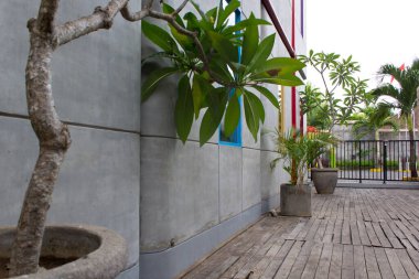 Pencerenin yanında bir sürü saksı bitkisi olan otelin köşesinde.