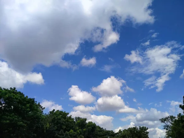 Γαλάζιος Ουρανός Την Ημέρα Φόντο Δέντρα — Φωτογραφία Αρχείου
