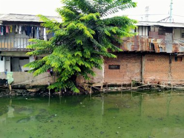 Sungai Duri, Roxy mas, Jakarta, Endonezya - (04-03-2021): Nehir kıyısında yoğun nüfuslu bir yerleşim yeri